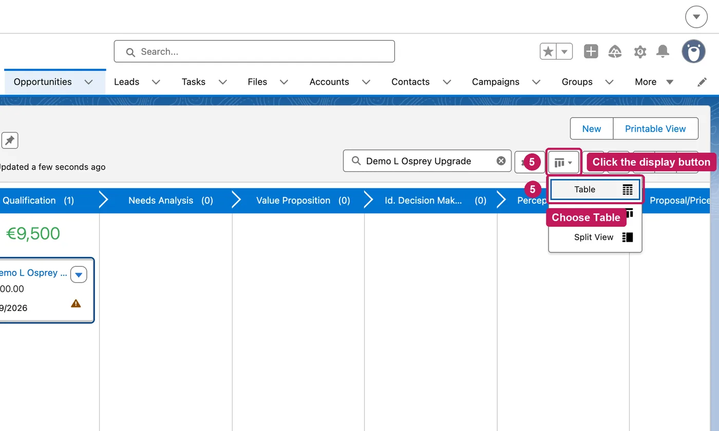 Salesforce screen for step 5: To go back, click the display button and choose Table.