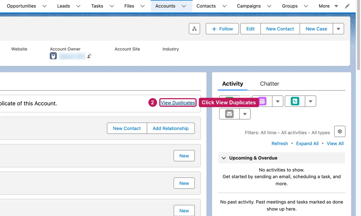 Salesforce screen for step 2: Click View Duplicates.